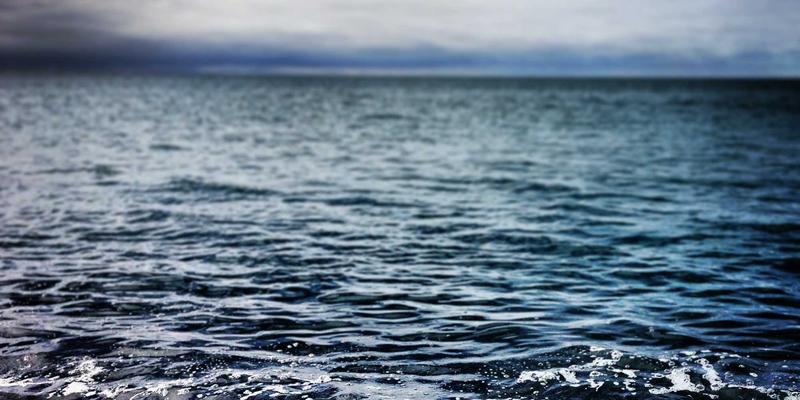 从精准优化到艺术表达：VIP SEO管理如何引爆流量与品牌价值