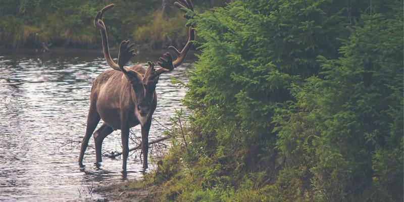 从精准曝光到高价值转化：VIP SEO如何为B2B企业绘制艺术涂鸦般的增长蓝图
